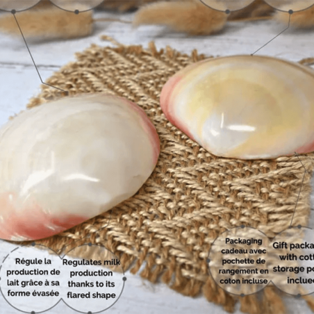 IRREVERSIBLE Coquillage d'allaitement mammaire x2 taille S (5cm x 2cm) -  Parapharmacie Prado Mermoz
